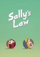 莎莉定律 Sally's Law