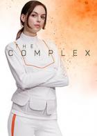 复体 The Complex